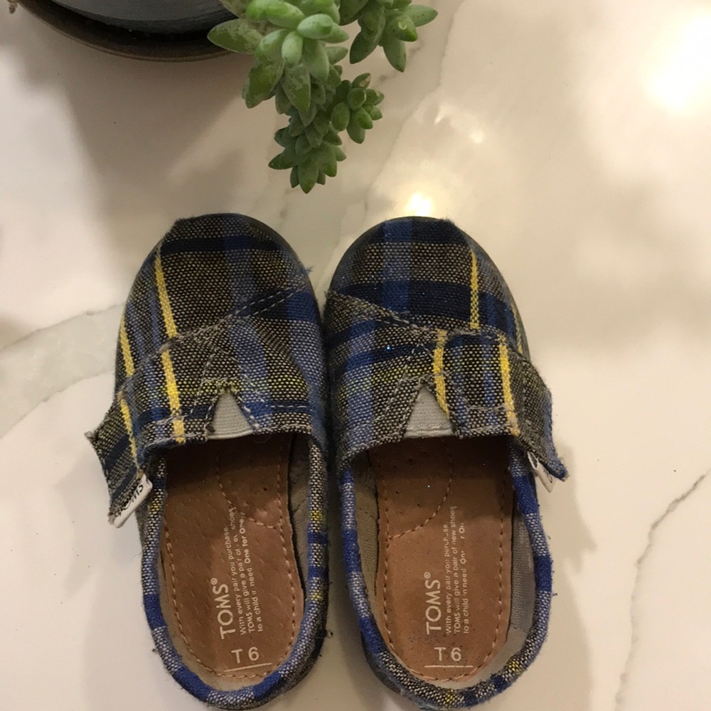TOMS